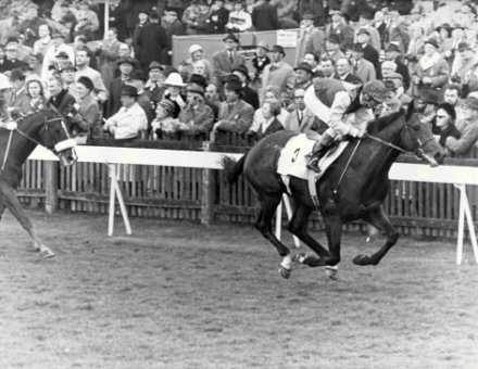 Doncaster Racecourse: Nijinsky and Lester Piggott